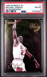 1995-96 Skybox (PSA)