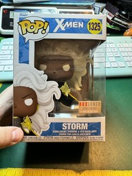 1325 Storm (BoxLunch)