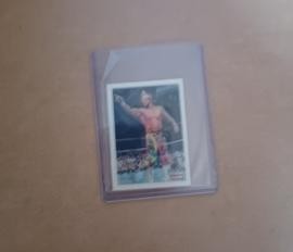"Macho King" Randy Savage (WWF Hasbro) (Summerslam)
