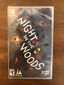 Night in the Woods