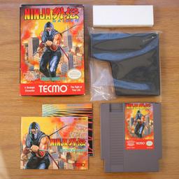 Ninja Gaiden (Nintendo Entertainment System)