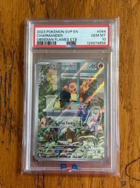 Sv Charmander (PSA) (Holo)
