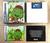 Franklin the Turtle (Nintendo Game Boy Advance)