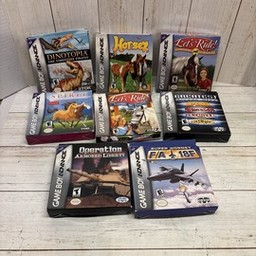 Let's Ride!: Friends Forever (Nintendo Game Boy Advance)