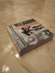 Wakeboarding Unleashed Featuring Shaun Murray (Nintendo Game Boy Advance)