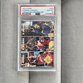 Wilkins Hoops (PSA)