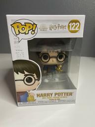 122 Harry Potter Holiday
