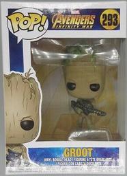 293 Groot