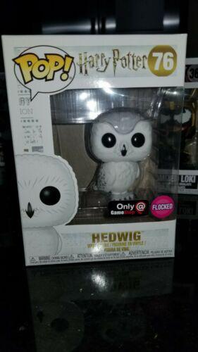 76 Hedwig (Common)