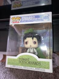 985 Edward with Dinosaur Shrub