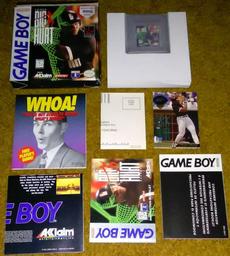 Frank Thomas' Big Hurt Baseball (Nintendo Game Boy)