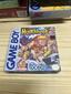 Super Hunchback (Nintendo Game Boy)