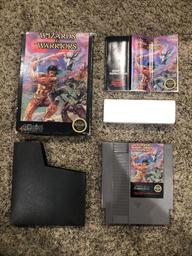 Wizards & Warriors (5 Screw) (Nintendo Entertainment System)